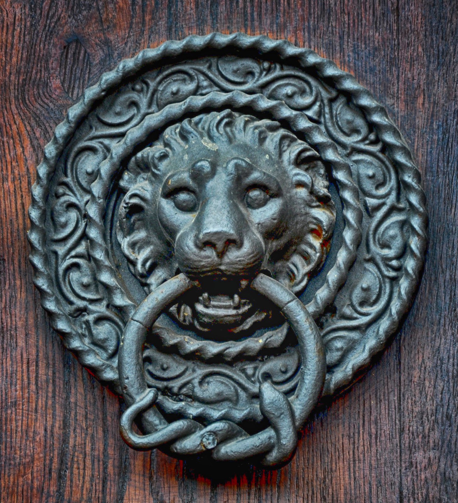 Lion head door knocker, Black Forest, Germany