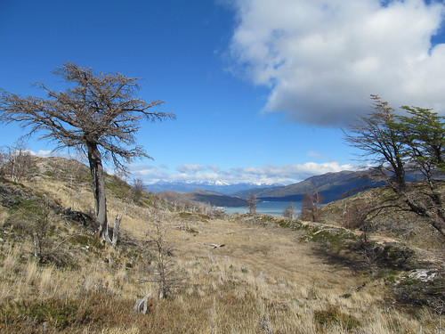 Torres del Paine: trek du W. Jour 5: retour à Paine Grande. The end !