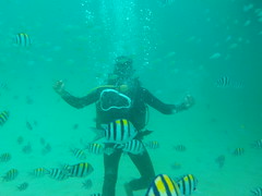 Nikon underwater camera