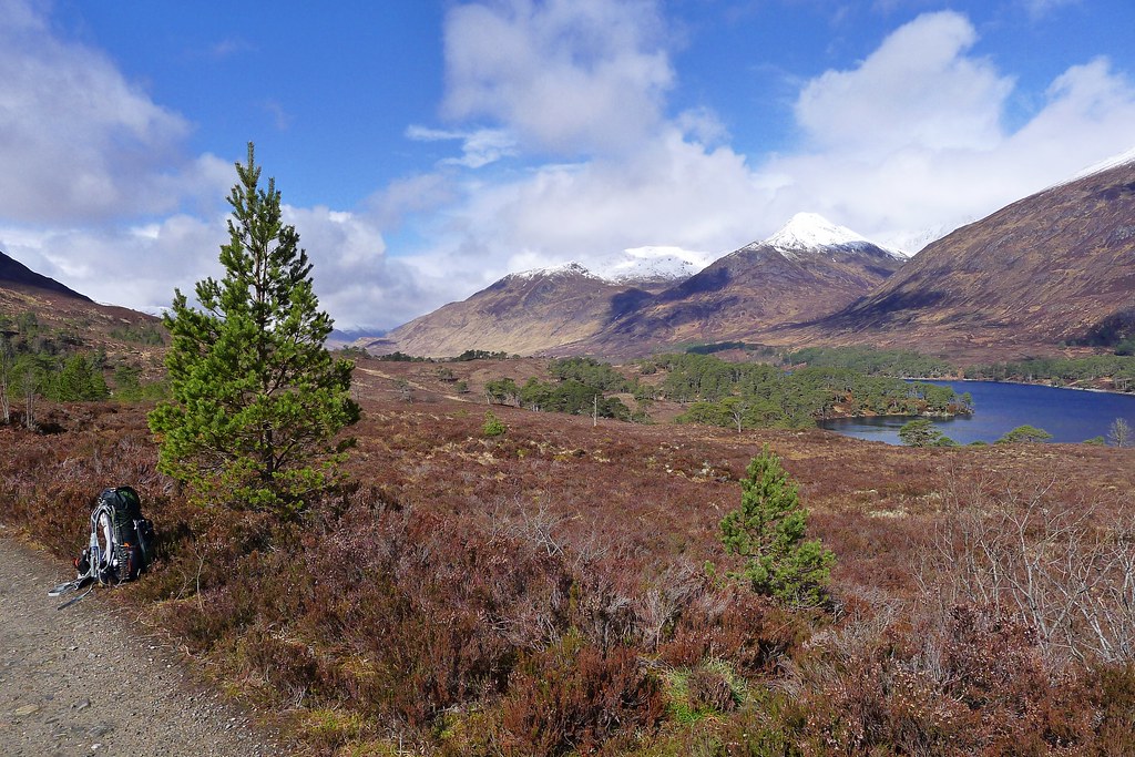 A pause in Glen Affric