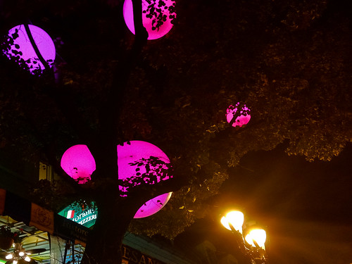Rue St. Denis tree balloon colour - #271/365 by PJMixer