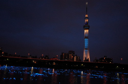 Tokyo Hotaru Light Symphony 2013-24