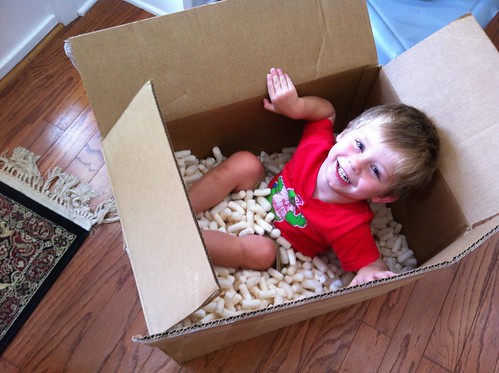 Logan in a box