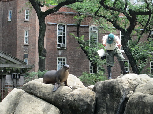 Central Park Zoo, NYC. Nueva York