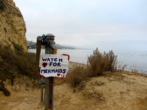 watch for mermaids
