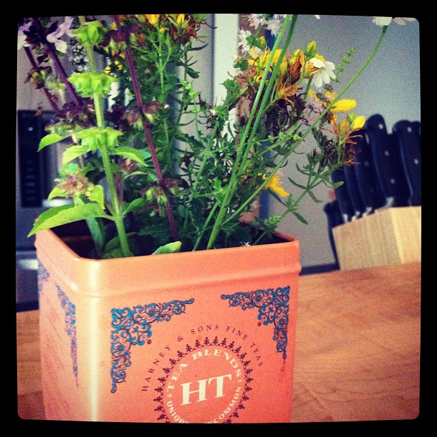 Flowered herbs looking adorable in a tea tin