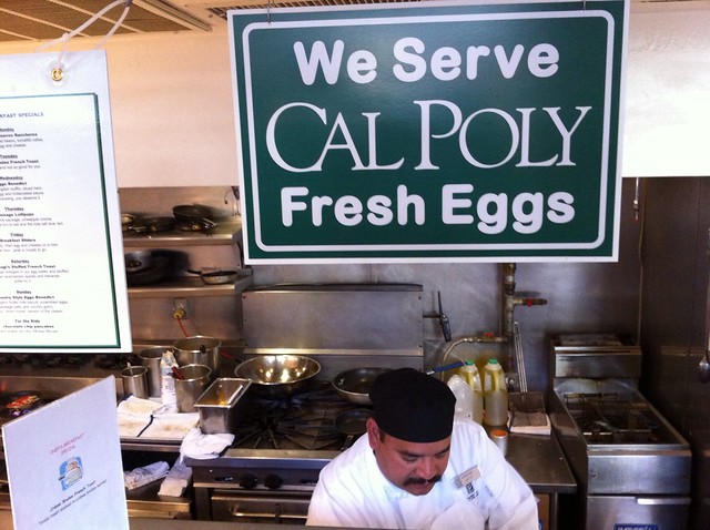 We Serve CalPoly Fresh Eggs