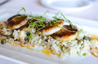 Pan Fried Scallops and Risotto