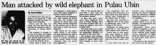 The Straits Times 2 March 1991
