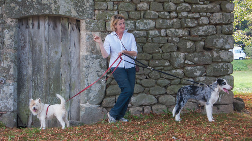 France, one woman and her dogs