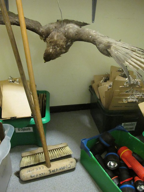Eagle Broom