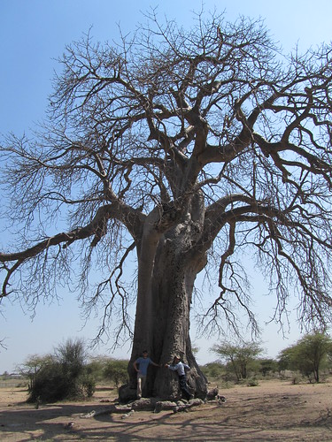 Chris and Mike fulfilling their wish to hug a baobab tree