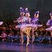 ballet 2012 (4)