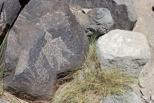 petroglyphs at three rivers Site New Mexico (8)
