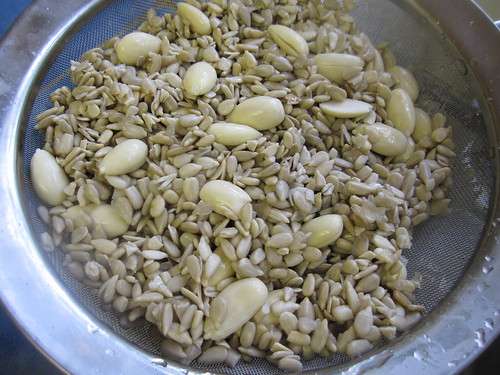 soaked and drained seeds/nuts