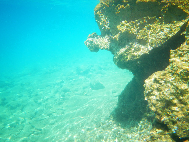 Underwater Adriatic Sea (6)