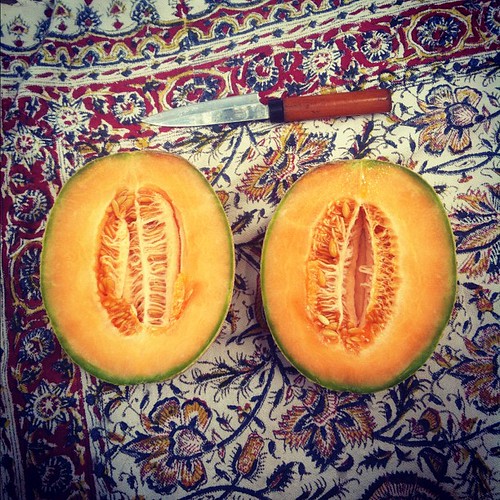 Homegrown cantaloupe, a blanket, a knife. Simple, good things gettin' me by.