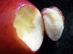 Fruits - Früchte 