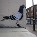 Pigeon, Stewy stencils, The Ambrette, Margate