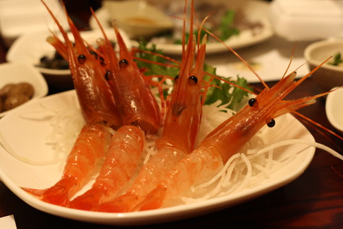 Live Shrimp