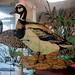 Mirrored ducks at Yum Yum, Fields Corner, Dorchester posted by Planet Takeout to Flickr