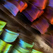 Sunset moth wing scales