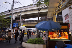 Japan Spring 2012