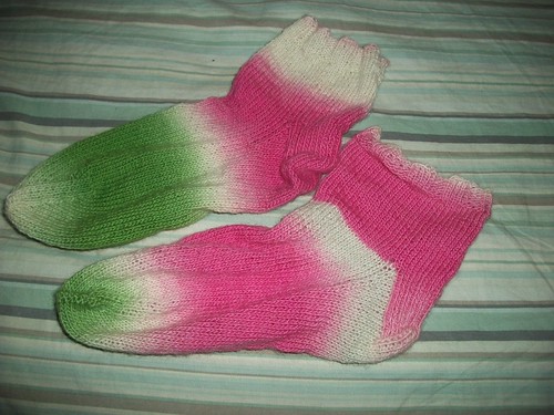 stargazer lily socks