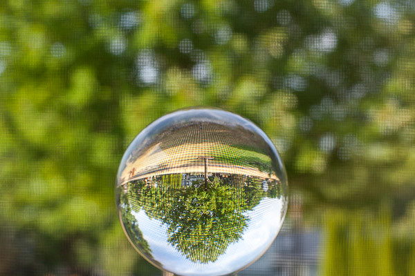 Crystal Ball Photography - Red Maple 