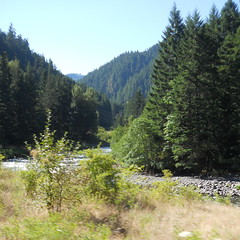A scenic view along the Clackamas