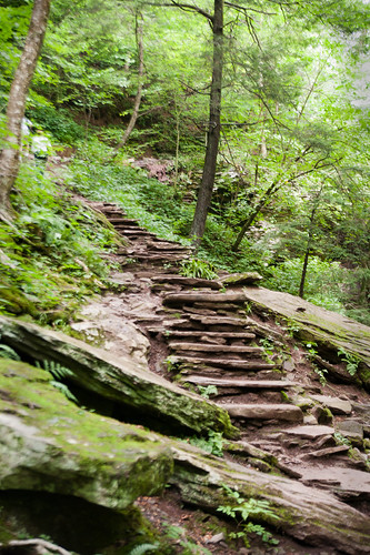 096 stairs to waterfall at ricketts glen july 2012
