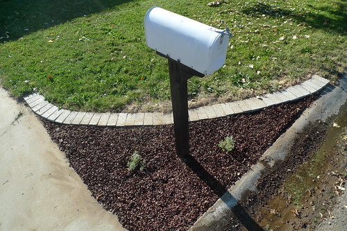 mailbox garden after