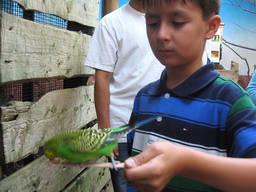 Feeding the bird at Woodland Park zoo.