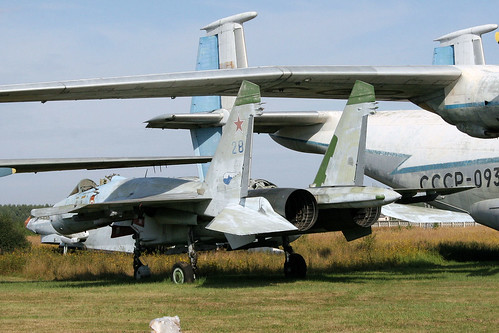Sukhoi Su-27 28 blue
