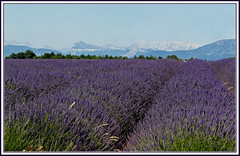 Provence Côte d'azur