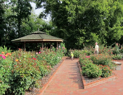 Chapel Hill Community Park Rose Garden