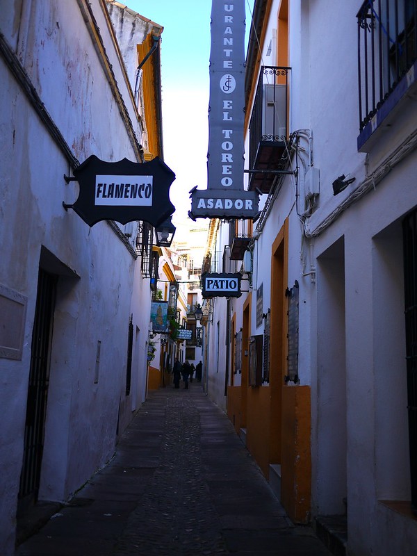 百花巷 Calle de las Flores