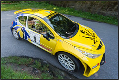 Rally 2012 - 2015