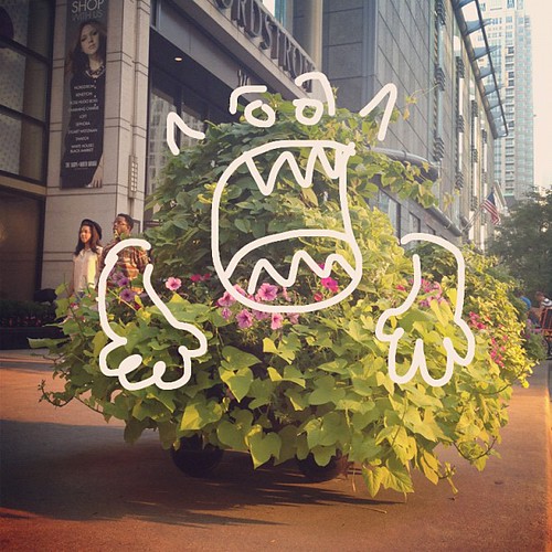 The plants on Michigan Avenue are monstrous