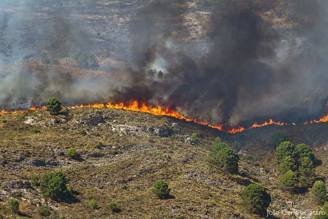 Incendio Sierra Tejeda (Canillas de Aceituno-Sedella)