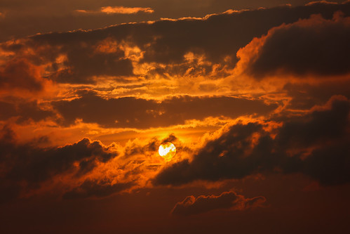 無料写真素材|自然風景|空|雲|朝焼け・夕焼け|動物立つ・立ち上がる