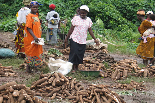 Cassava market by IITA Image Library