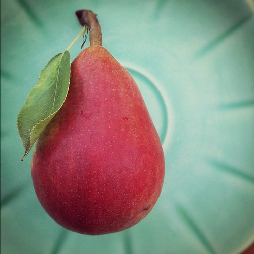first pear this season #organicgarden #urbangarden #pear