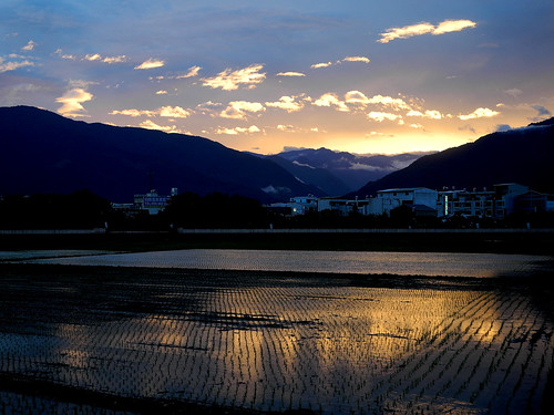 Chihshang (池上) in the Sunset, Taidong, Taiwan