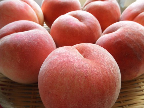 white peach has arrived from Sanjo