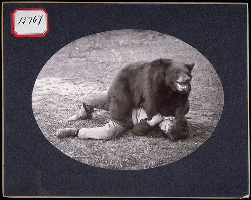 Wrestling with a trained bear / Lutte avec un ours dressé