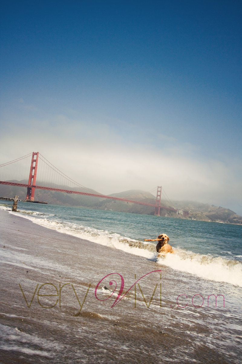 Fourth Of July Swim by the Golden Gate Bridge