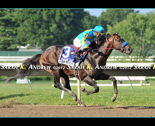 Baffert Wins Third Straight Haskell With Awesome Again's Paynter