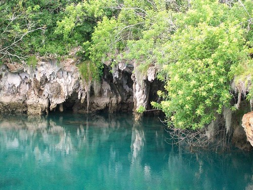 Insider's Guide to Bermuda: Tom Moore's Jungle