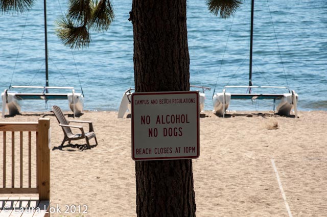 no drinking unless you have dogs